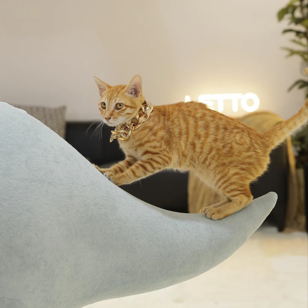 DinoLounge®: El hábitat jurásico para tu gato