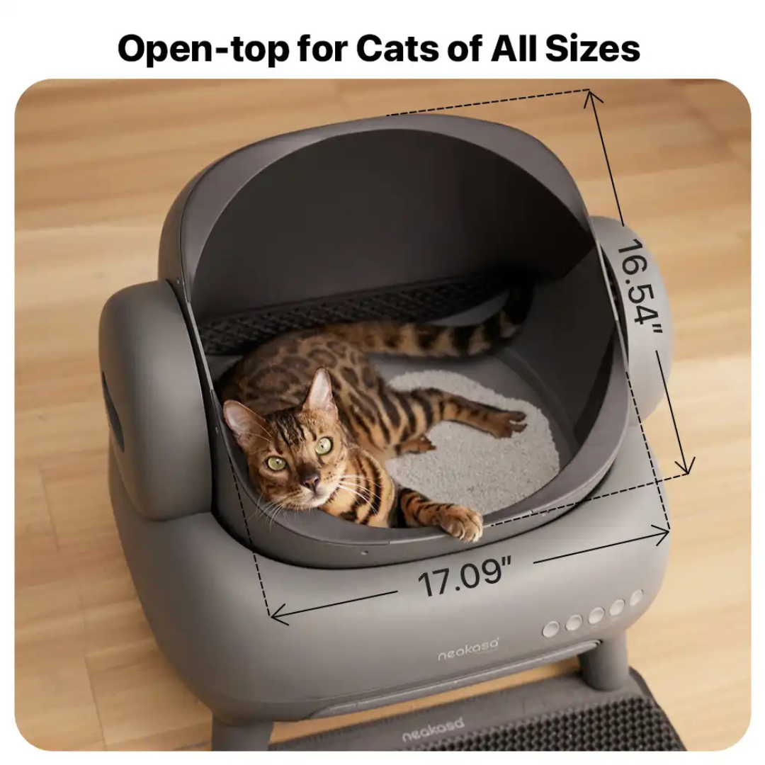 PurrBox®: The Smart Anti-Smell Litter Box