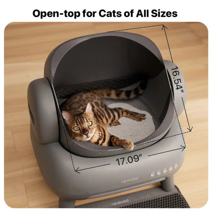 PurrBox®: The Smart Anti-Smell Litter Box